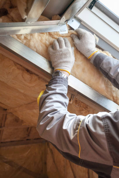 Best Home Insulation Services  in Mukilteo, WA