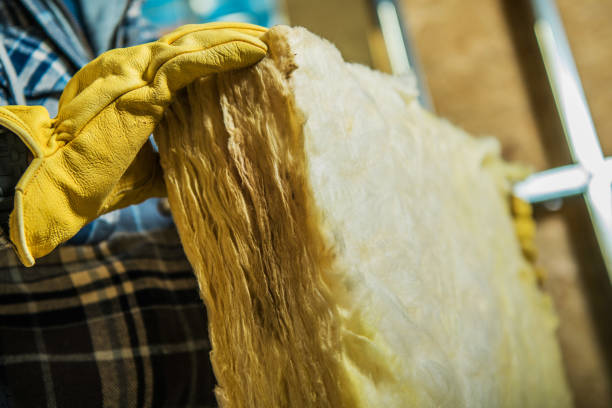 Best Crawl Space Insulation  in Mukilteo, WA